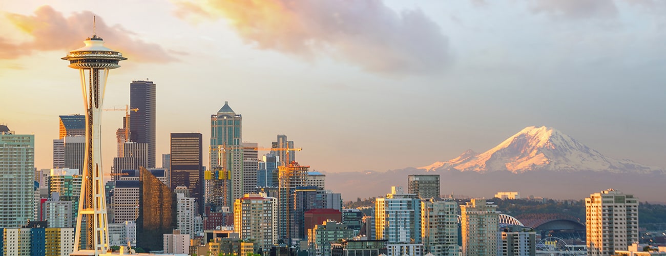 Seattle Skyline Large